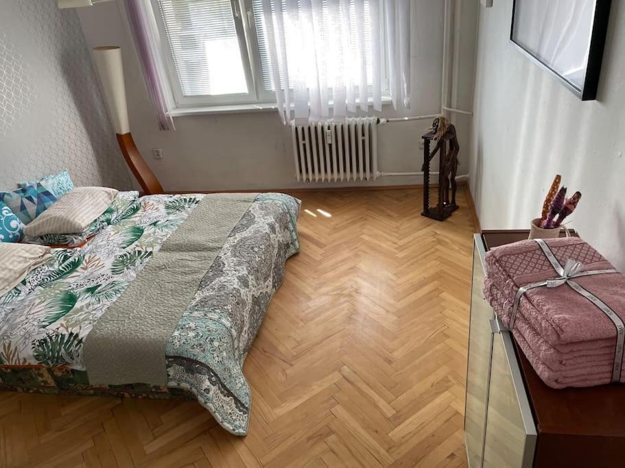 2,5 Izbovy Apartman V Ruzinove S Parkovanim Zdarma براتسيلافا المظهر الخارجي الصورة
